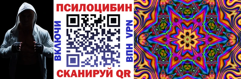 хочу   Жуковский  Псилоцибиновые грибы мухоморы 