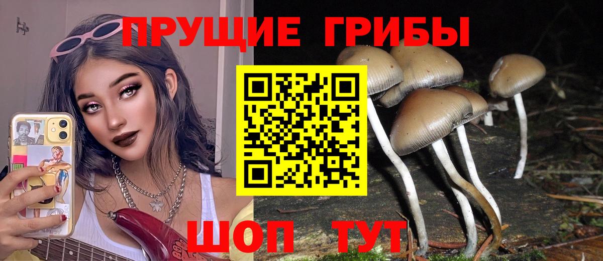 Жуковский  Галлюциногенные грибы прущие грибы  Вход с VPN  Псилоцибиновые грибы Magic Shrooms 