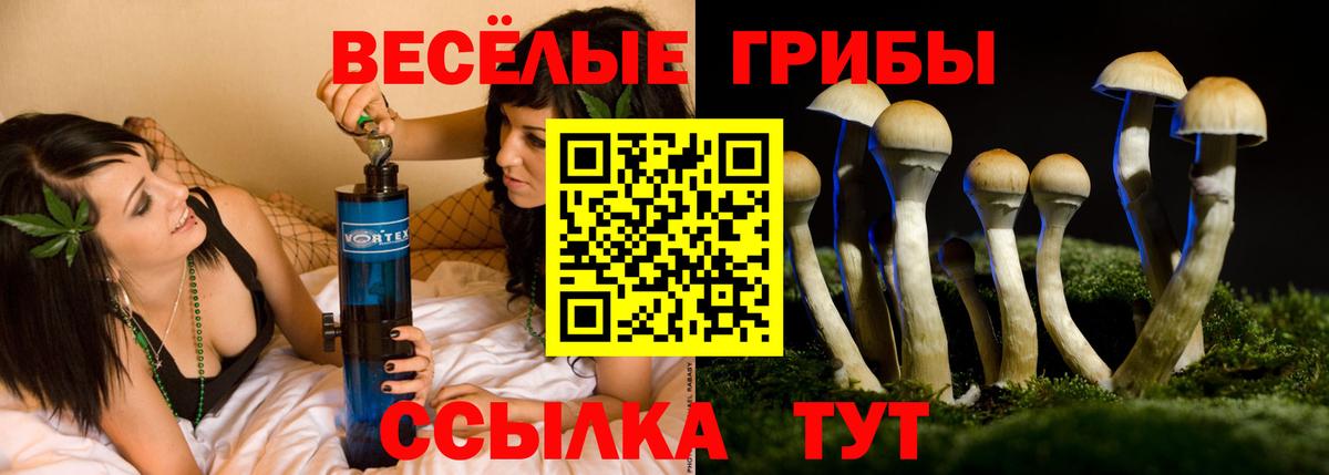 Псилоцибиновые грибы прущие грибы Жуковский